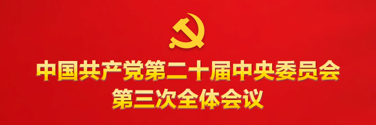 党的二十届三中全会